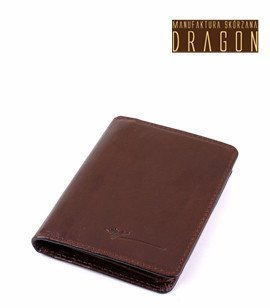 ETUI NA KARTY DOKUMENTY BANKNOTY SKÓRZANE DRAGON 